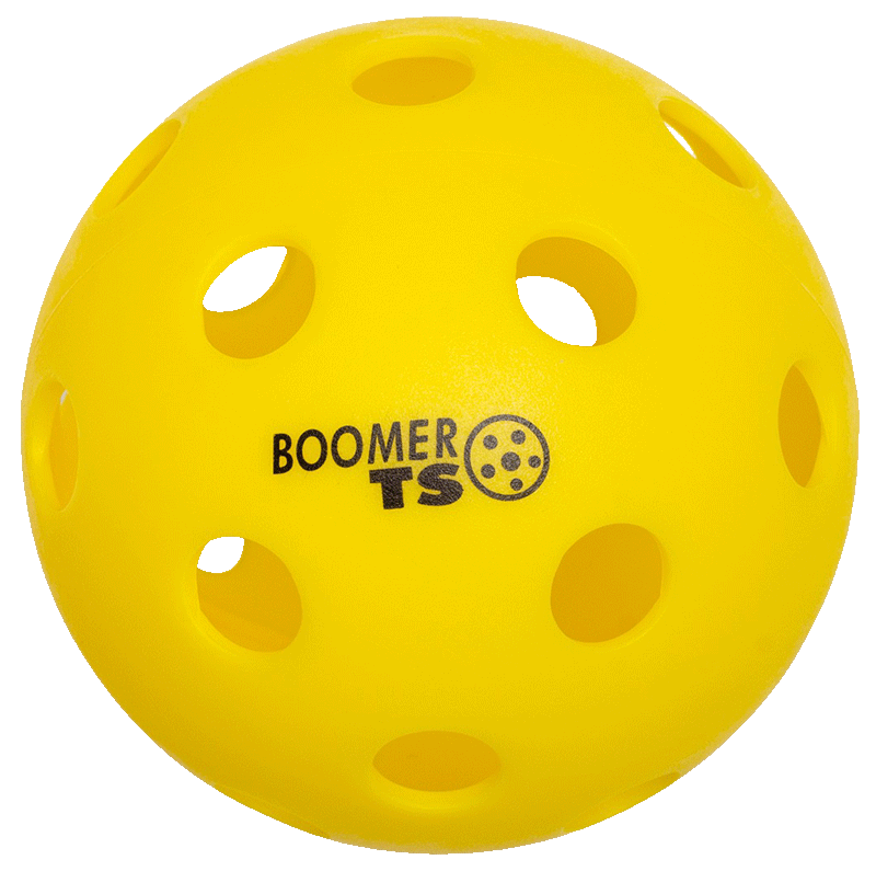 Boomer TS Indoor Ball